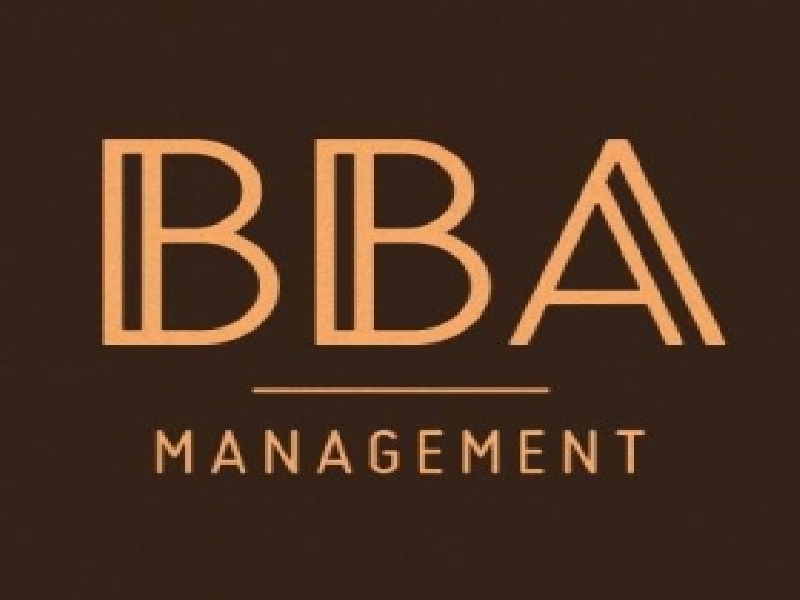 BBA Management 